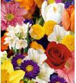 The FTD� Florist Designed Bouquet - Large
